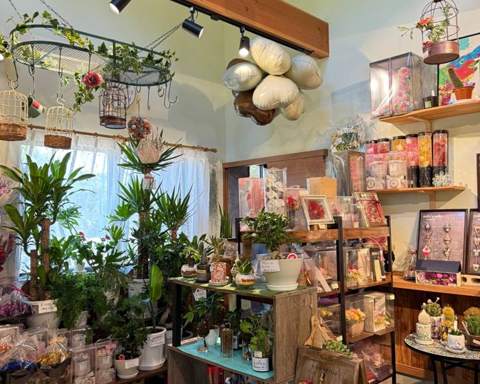 flower miki の店内