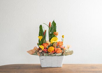 鉢物事例のイメージ