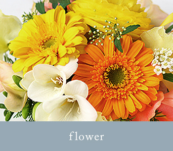 flower